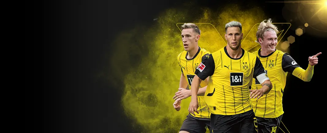 SolaX and Borussia Dortmund:<br>A Powerful Partnership